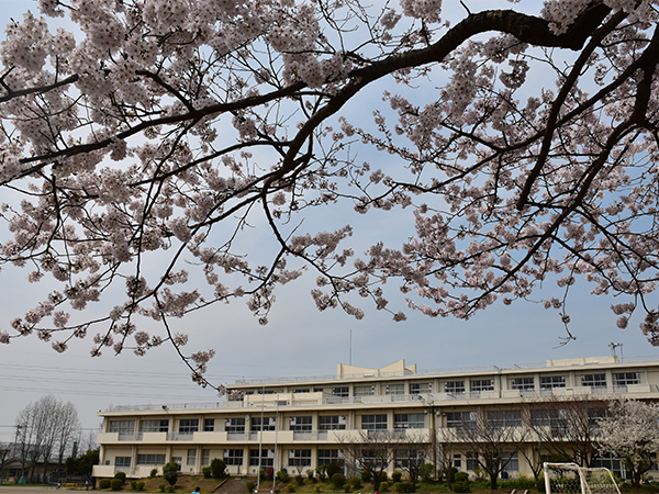 ★5/11新着　積水ハウス施工の注文住宅　大森町 中古戸建 見どころPOINT 写真