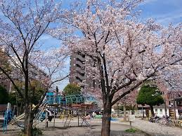 船橋市夏見3丁目　建築条件無し売地 見どころPOINT 写真
