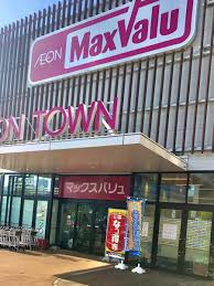 船橋市夏見3丁目　建築条件無し売地 見どころPOINT 写真
