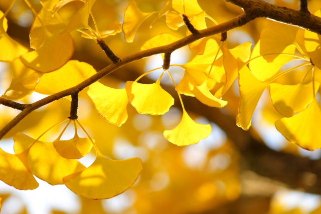 R7.11月 成約事例 アイチャッチ R7.11月 成約事例 アイチャッチ