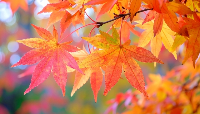 R7.10月　成約事例 アイチャッチ