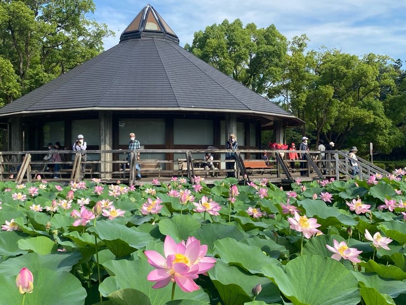 【販売予告】西千葉駅徒歩6分！！登戸5丁目　建築条件なし売地 見どころPOINT 写真
