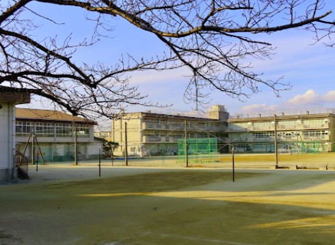 【販売予告】柏市花野井　建築条件無し売地 見どころPOINT 写真