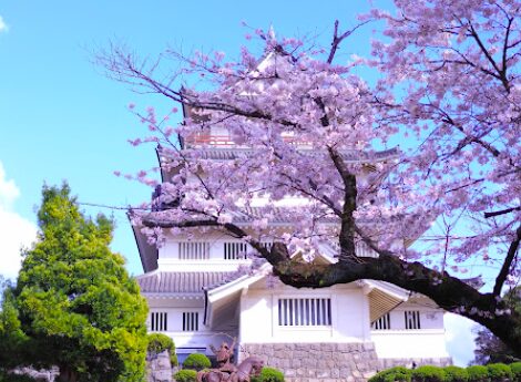 【販売予告】千葉市中央区　青葉町②　建築条件付き売地 見どころPOINT 写真