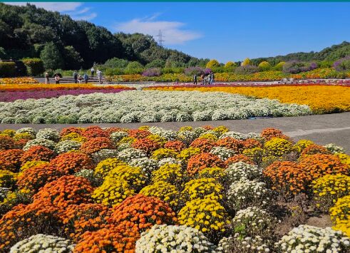 岐阜市日野東１丁目　重厚感溢れる大邸宅 見どころPOINT 写真
