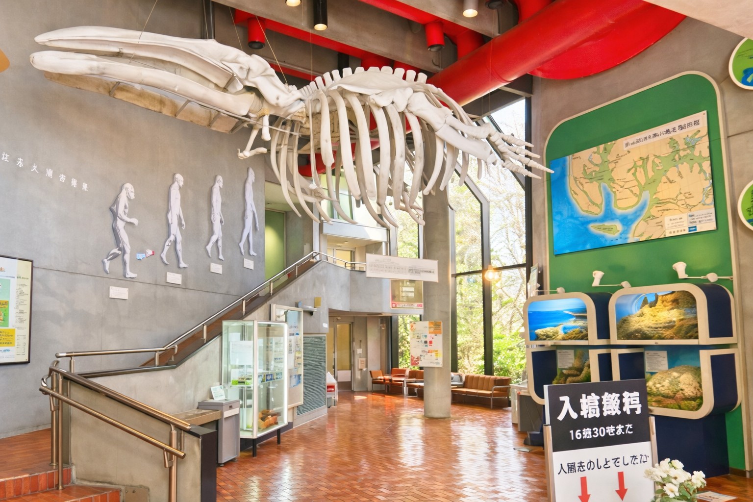 ★9/4新着　市川市中国分３丁目　建築条件無し売地 見どころPOINT 写真
